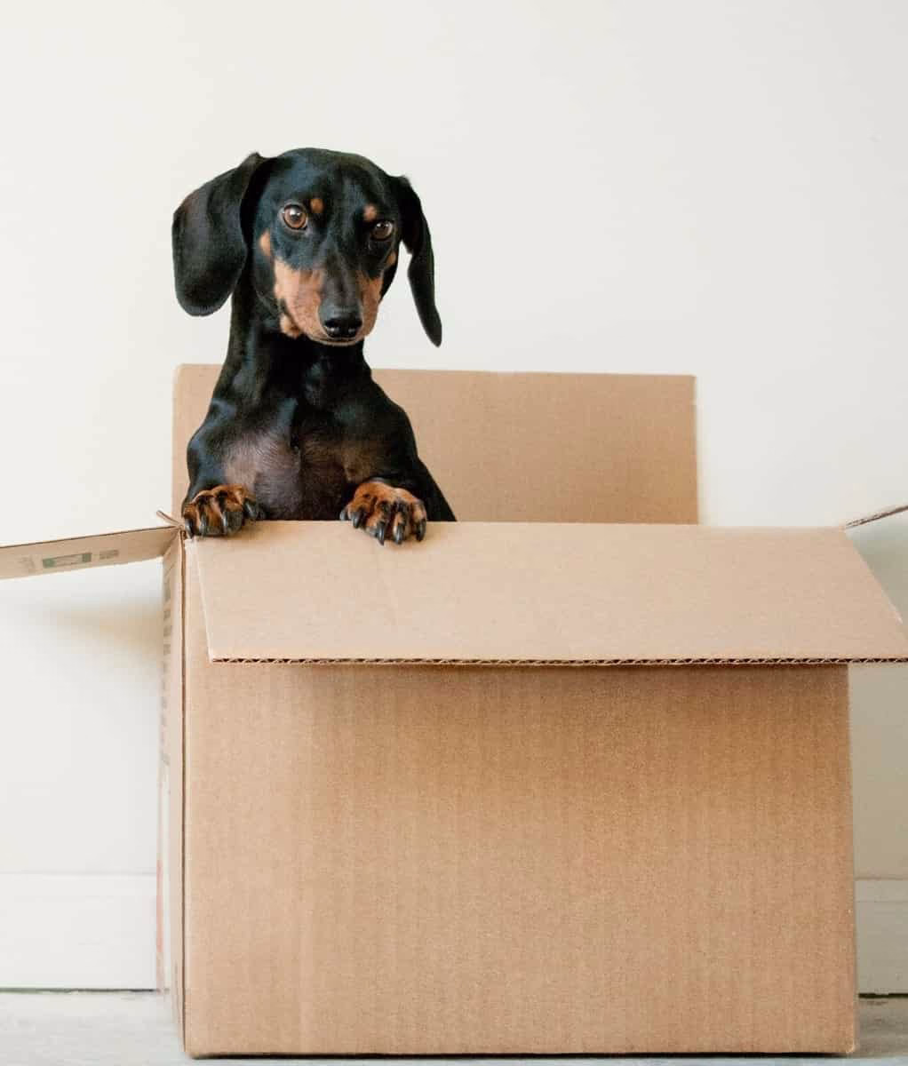 Demenagement Fiable sans surprises